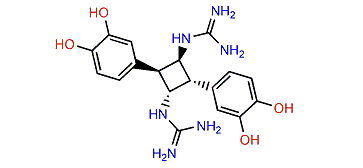 Orthidine E
